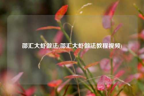 邵汇大虾做法(邵汇大虾做法教程视频)