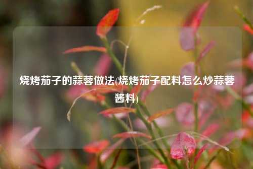 烧烤茄子的蒜蓉做法(烧烤茄子配料怎么炒蒜蓉酱料)