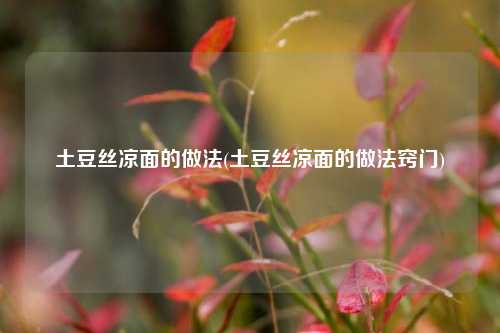 土豆丝凉面的做法(土豆丝凉面的做法窍门)