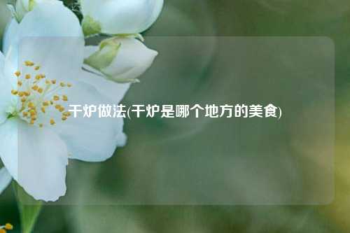 干炉做法(干炉是哪个地方的美食)