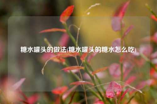 糖水罐头的做法(糖水罐头的糖水怎么吃)