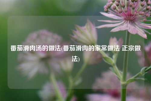 番茄滑肉汤的做法(番茄滑肉的家常做法 正宗做法)
