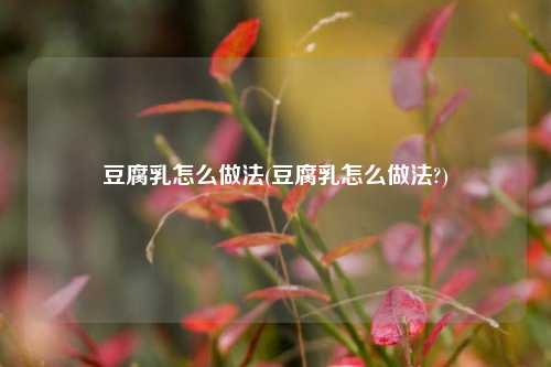豆腐乳怎么做法(豆腐乳怎么做法?)