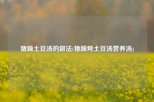 猪蹄土豆汤的做法(猪蹄炖土豆汤营养汤)