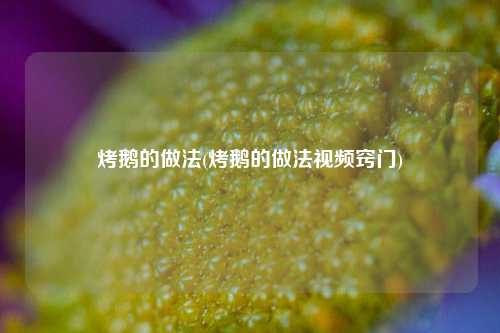 烤鹅的做法(烤鹅的做法视频窍门)