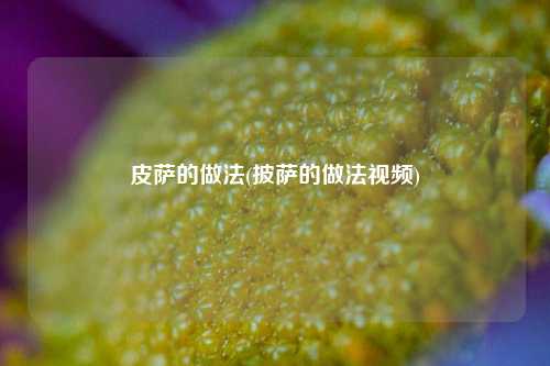 皮萨的做法(披萨的做法视频)