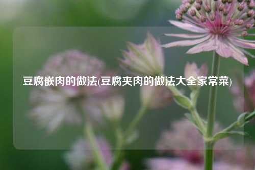 豆腐嵌肉的做法(豆腐夹肉的做法大全家常菜)