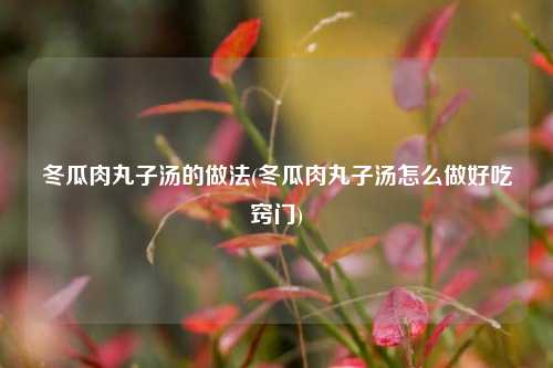 冬瓜肉丸子汤的做法(冬瓜肉丸子汤怎么做好吃窍门)