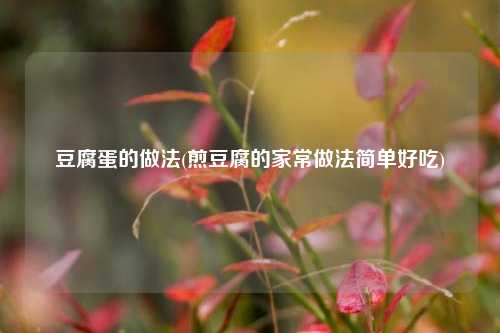 豆腐蛋的做法(煎豆腐的家常做法简单好吃)