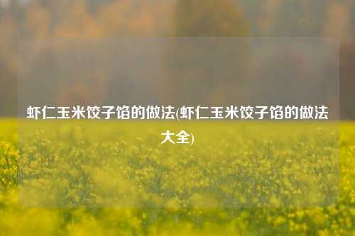 虾仁玉米饺子馅的做法(虾仁玉米饺子馅的做法大全)