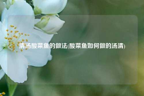 清汤酸菜鱼的做法(酸菜鱼如何做的汤清)
