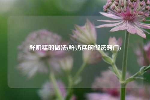 鲜奶糕的做法(鲜奶糕的做法窍门)