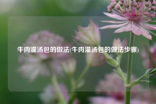 牛肉灌汤包的做法(牛肉灌汤包的做法步骤)